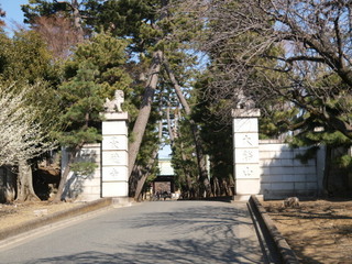 P2190309.jpg