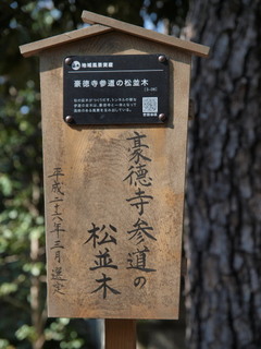 P2190313.jpg