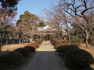 P2190320.jpg