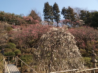 P2190388.jpg