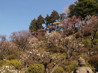 P2190411.jpg