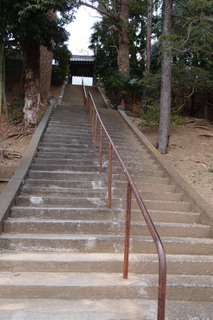 P2227690.jpg