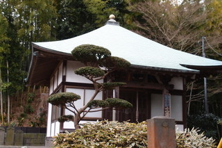 P2227697.jpg