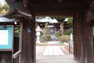 P2247714.jpg