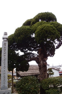 P2247724.jpg