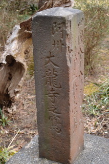 P2247730.jpg