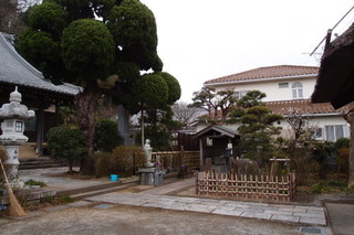 P2247734.jpg