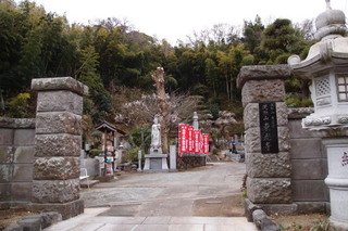 P2247750.jpg