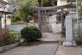 P2247751.jpg