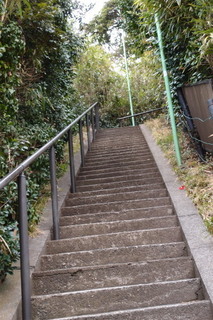 P2247752.jpg