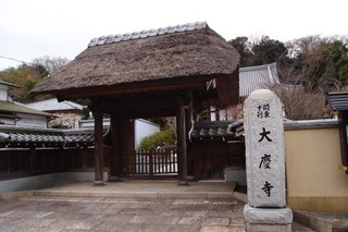 P2247755.jpg