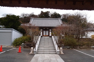 P2247756.jpg