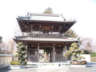 P2260443.jpg