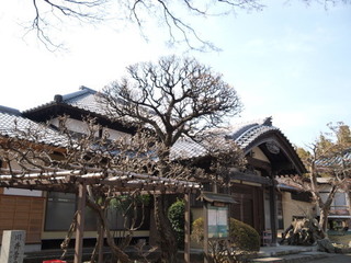 P2260451.jpg
