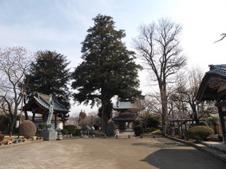 P2260458.jpg