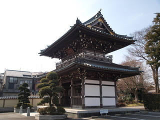P2260460.jpg