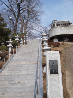 P2260461.jpg