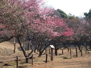 P2260512.jpg