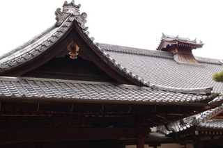 P2272031.jpg