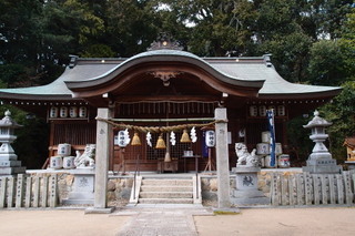 P2272056.jpg