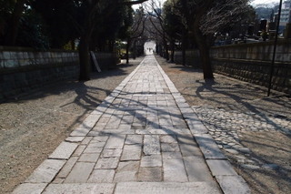 P2284295.jpg