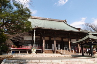 P2284317.jpg