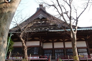 P2284327.jpg