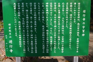 P2284329.jpg