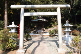 P2284333.jpg