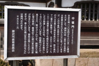 P2284342.jpg