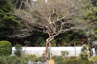 P2284381.jpg