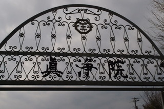 P2284396.jpg