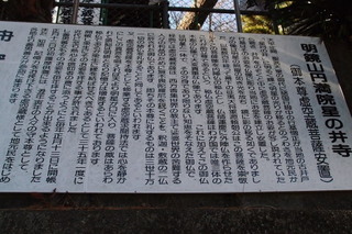 P3014436.jpg