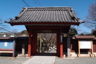 P3034492.jpg