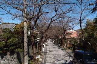 P3034496.jpg