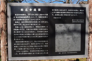 P3034512.jpg