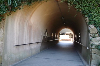 P3034543.jpg