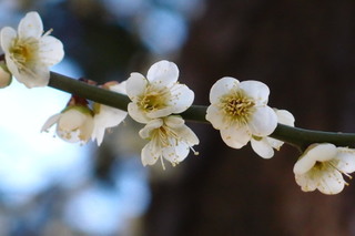 P3034552.jpg