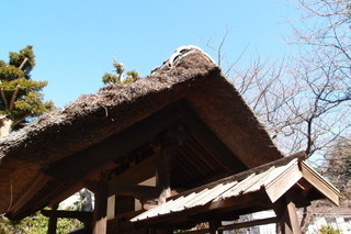 P3034566.jpg