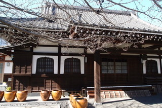 P3034571.jpg