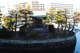 P3034590.jpg