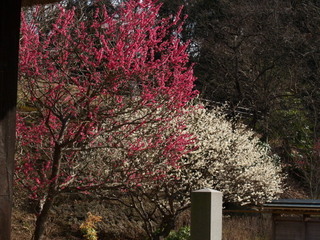 P3058051.jpg