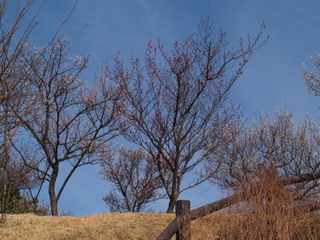 P3058052.jpg