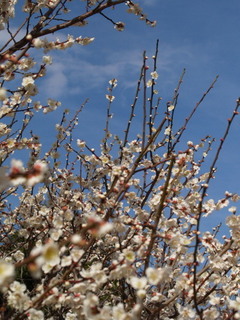 P3058060.jpg