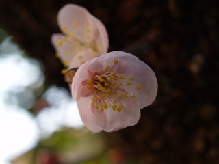 P3069294.jpg