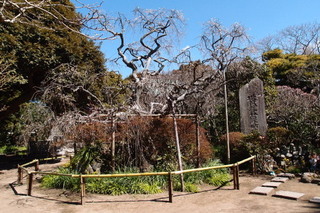 P3097867.jpg