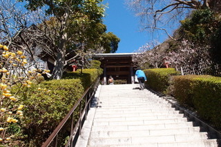 P3097869.jpg