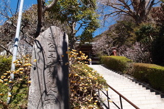 P3097880.jpg