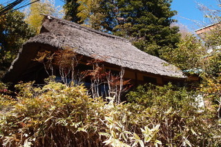 P3097882.jpg