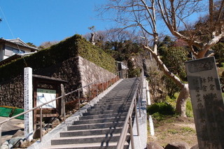 P3097884.jpg